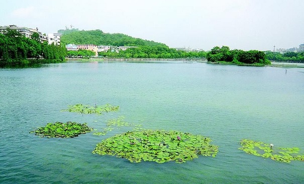 南京某村鎮(zhèn)生態(tài)環(huán)境修復(fù)項(xiàng)目